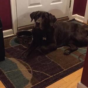 Meet your Posher, Melinda